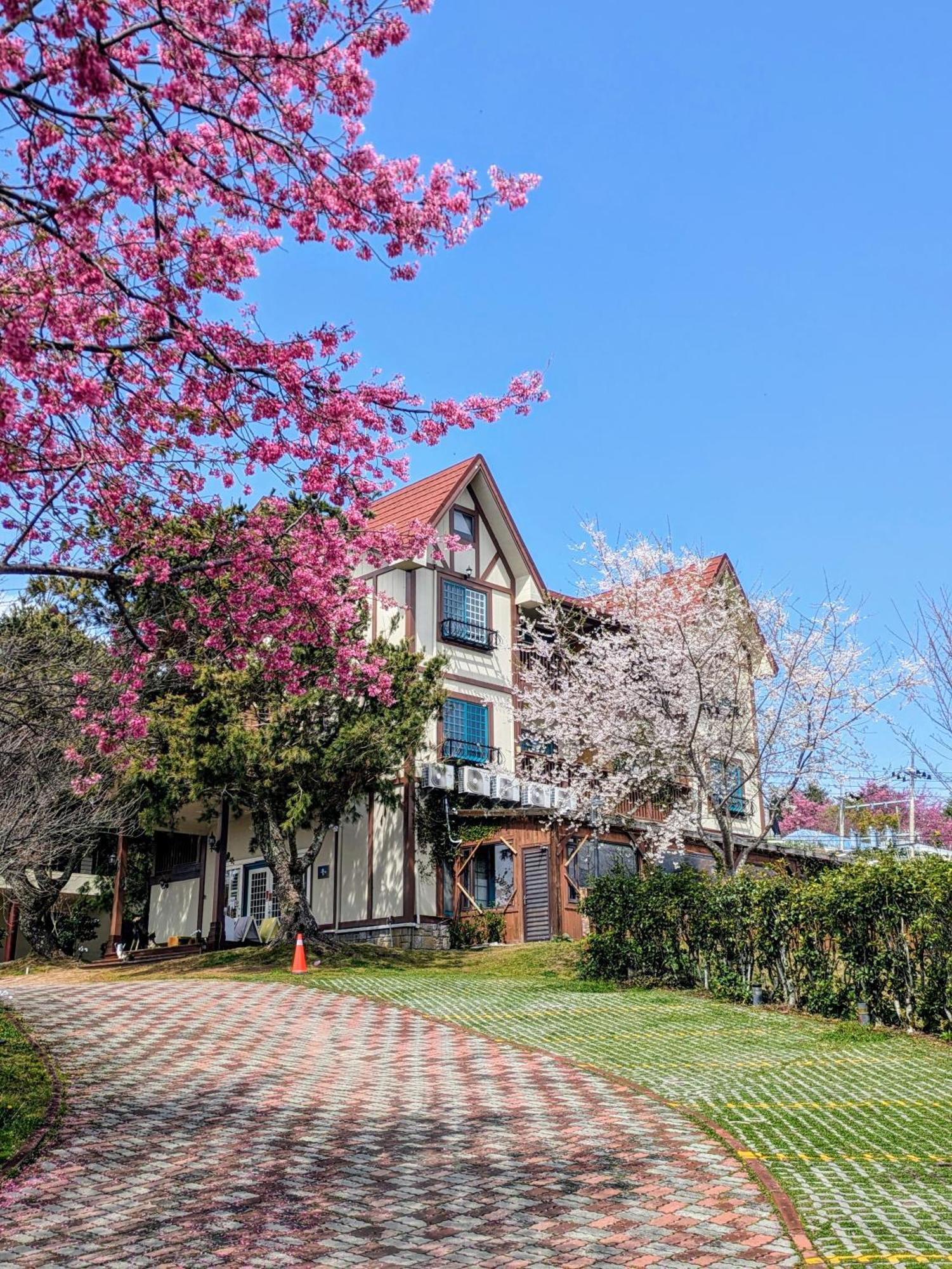 런아이 清境 百里莊園 Baili Manor Cing Jing 아파트 외부 사진